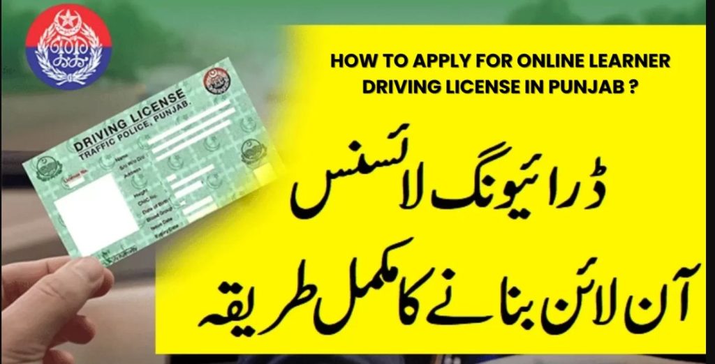 Punjab Driving Licence DLMIS